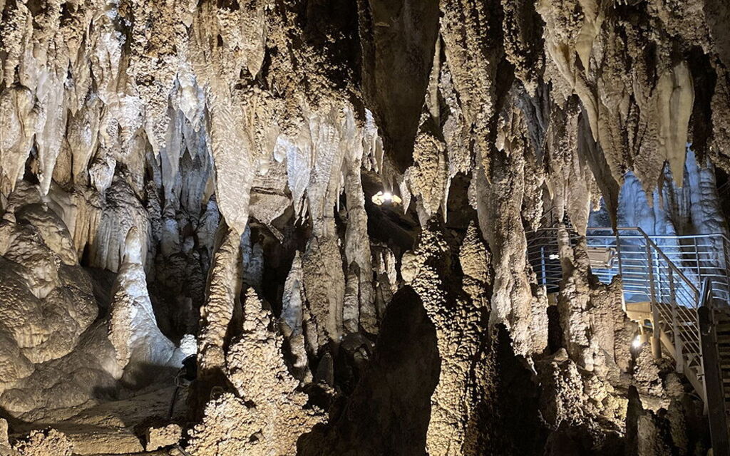What to Do in Versilia - TuscanHouses