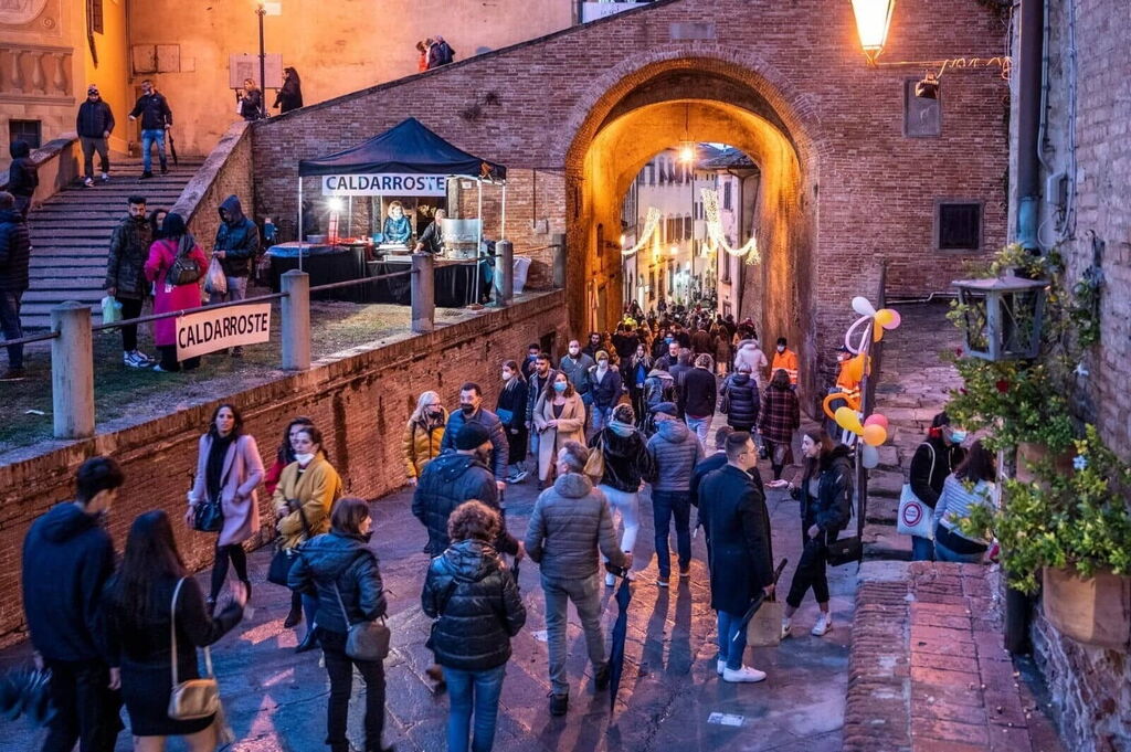 Mostra Mercato del Tartufo Bianco di San Miniato