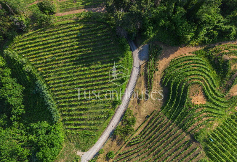 Il Castagno By Tuscanhouses