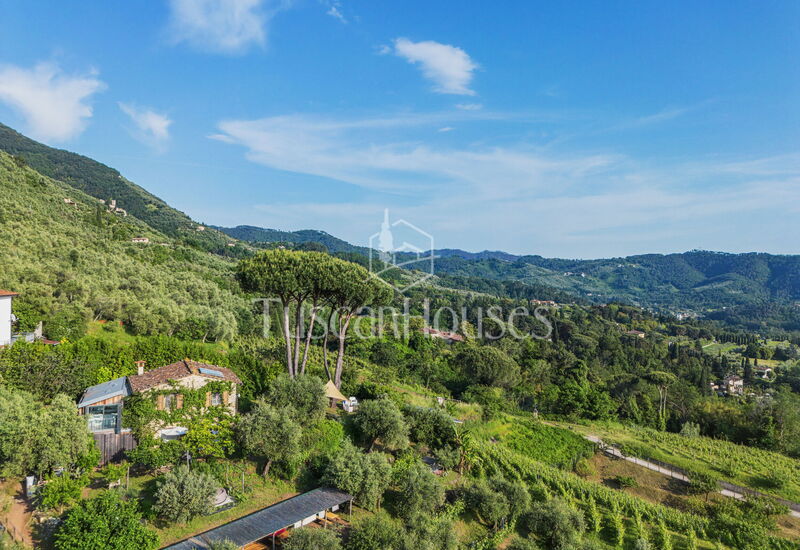 Il Castagno By Tuscanhouses