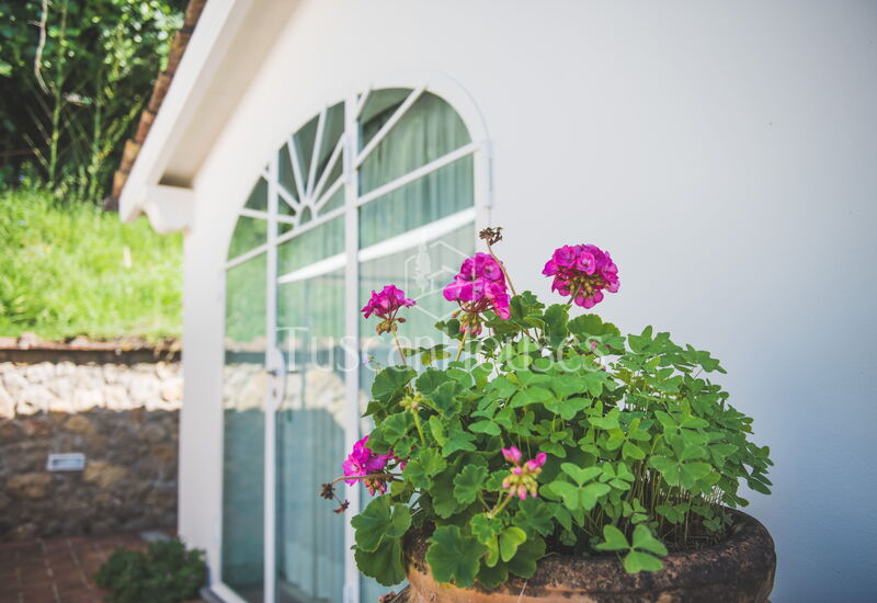 La Collina By Tuscanhouses