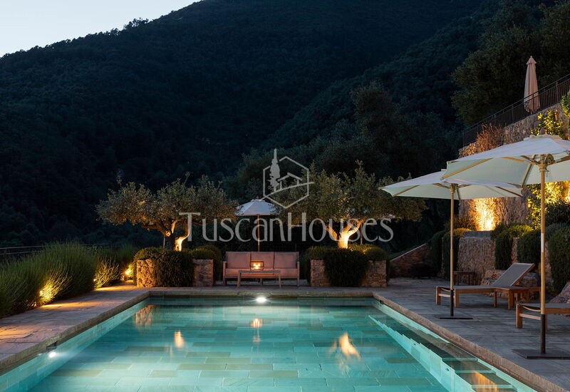 Villa Tomeoni by Tuscanhouses